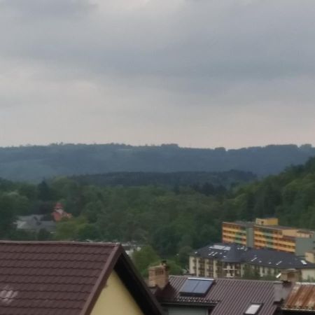 Lesna 26 Apartment Kudowa-Zdroj Bagian luar foto